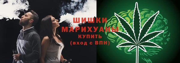 мет Няндома