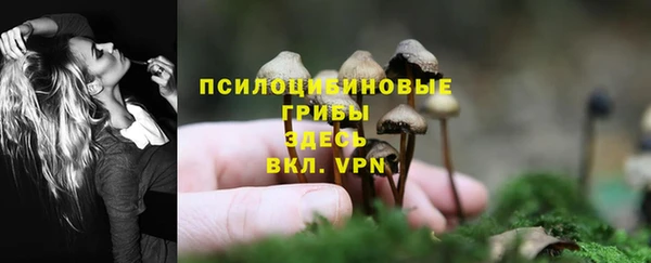бутират Ладушкин