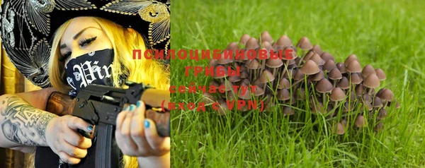 бошки Лиски