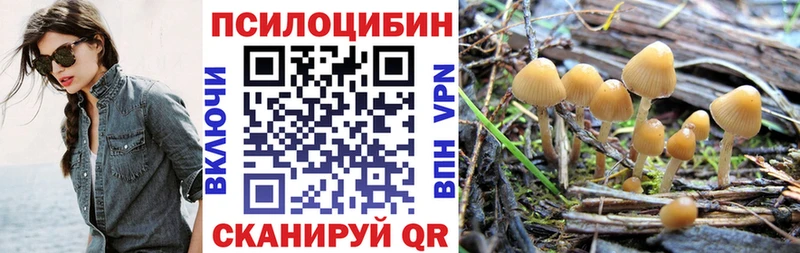 наркошоп  hydra ссылки  Галлюциногенные грибы прущие грибы  Нея 